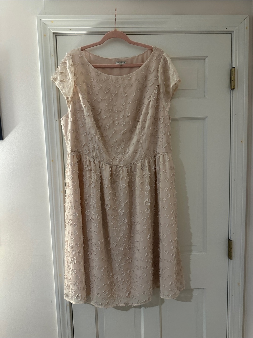 Small Flower-Embellished Short Sleeve Dress in Blush - Lace and Mesh